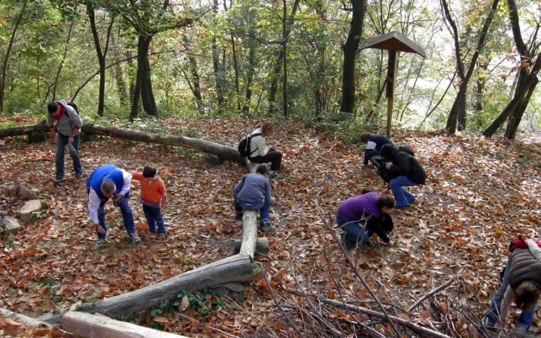 Castagnata nel bosco – Domenica 27 ottobre 2024